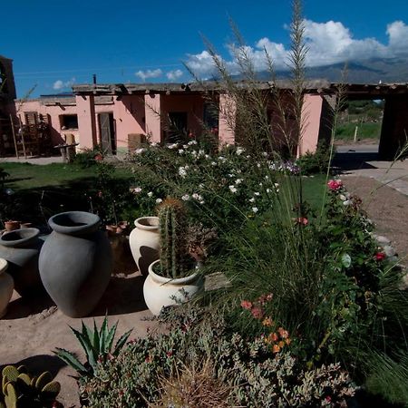 Finca Huayrapuca Famatina Exteriör bild